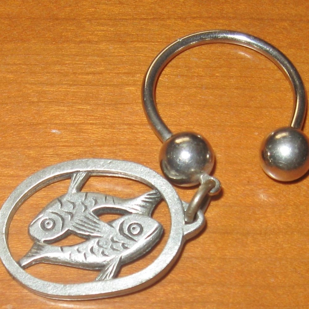 Double Fish Good Luck Symbol Metzke Metal Keyring Harmony and Good Fortune Charm - Picture 3 of 5